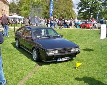 rocco front view
