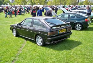 rocco rear view